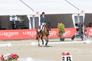 FEI European Championship Eventing 2017