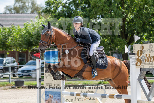 Landesturnier Rheinland, Vielseitigkeit, 22.+23.08.2020