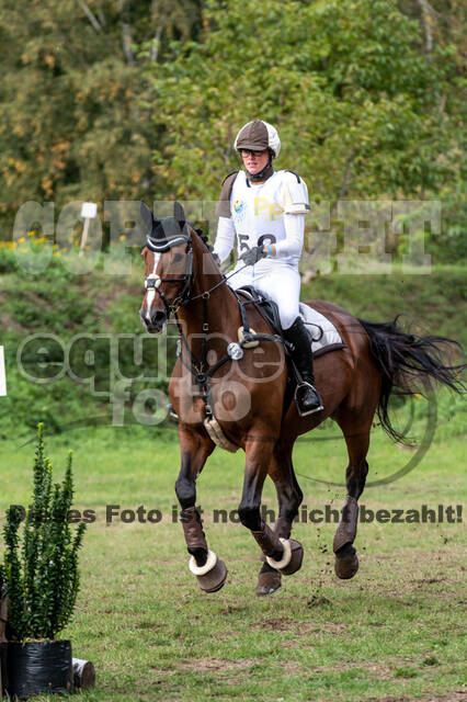 Vielseitigkeit RSV Wesel Obrighoven (26.+27.09.2020)