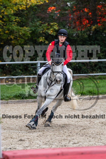 Goldene Schärpe 2020 - Pferde