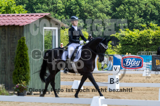 Westerstede Horse Trials 2021