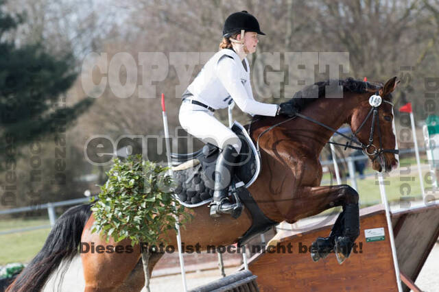 Eventing Langenfeld 2018