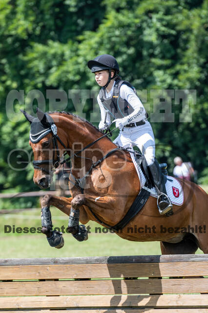 Goldene Schärpe 2021 - Ponys