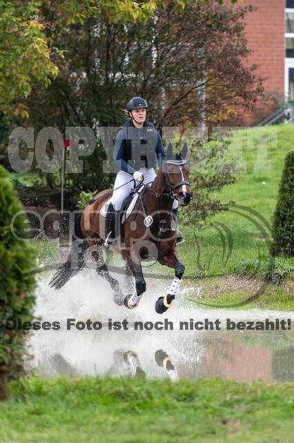 Goldene Schärpe 2020 - Pferde