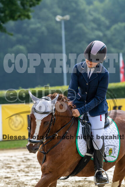 Goldene Schärpe 2021 - Ponys