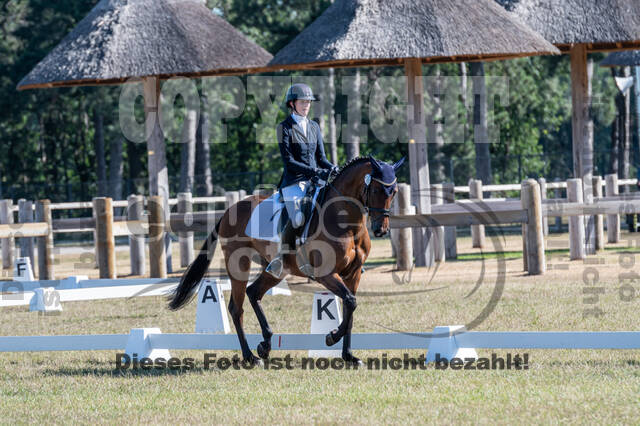 Kronenberg - De Peelbergen (August 2020)