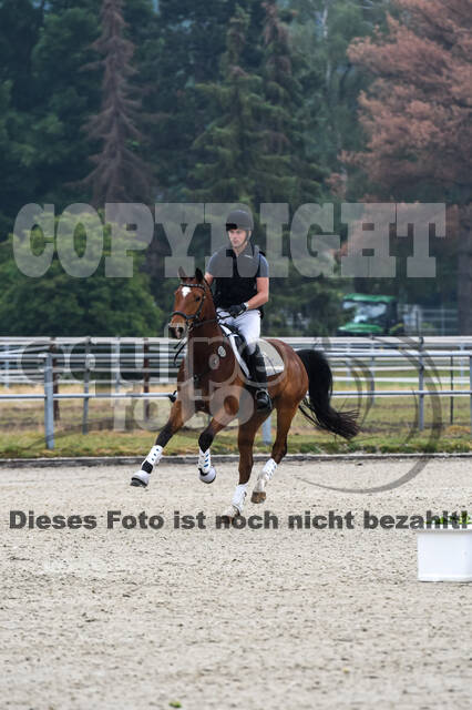 Late-Entry-Vielseitigkeit Langenfeld (11.+13./14.06.2020)