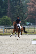 Late-Entry-Vielseitigkeit Langenfeld (11.+13./14.06.2020)