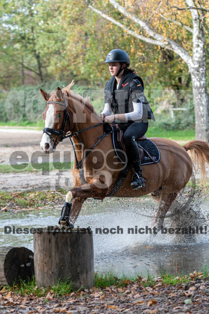 IGV Lehrgang der Sieger der Cups mit Frank Ostholt