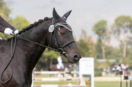 IGV Kleve
