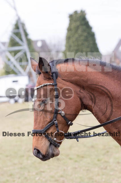 Geländetraining RSV St. Hubertus Wesel Obrighoven (10.+11.03.2018)