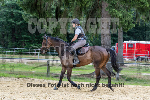 Hunter Geländetraining 10.07.2021 (Sonsbeck)