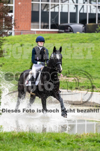 Goldene Schärpe 2020 - Pferde