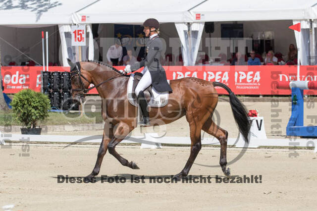 FEI European Championship Eventing 2017