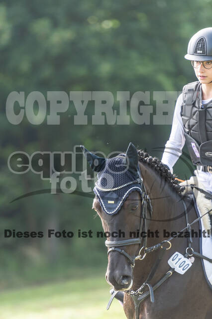 Goldene Schärpe 2021 - Ponys