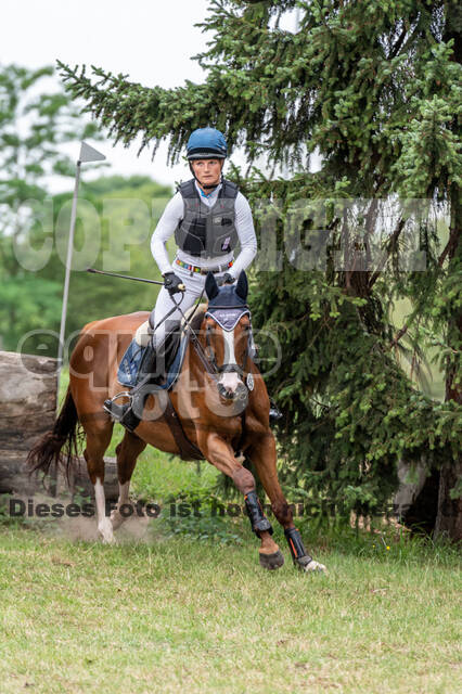 Late-Entry-Vielseitigkeit Langenfeld (11.+13./14.06.2020)