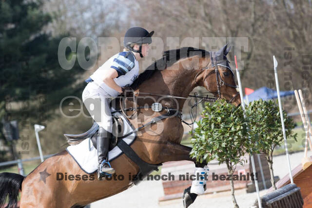 Eventing Langenfeld 2018