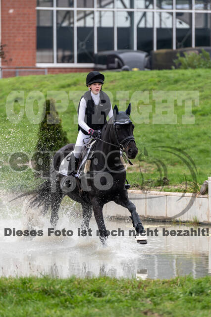 Goldene Schärpe 2020 - Pferde