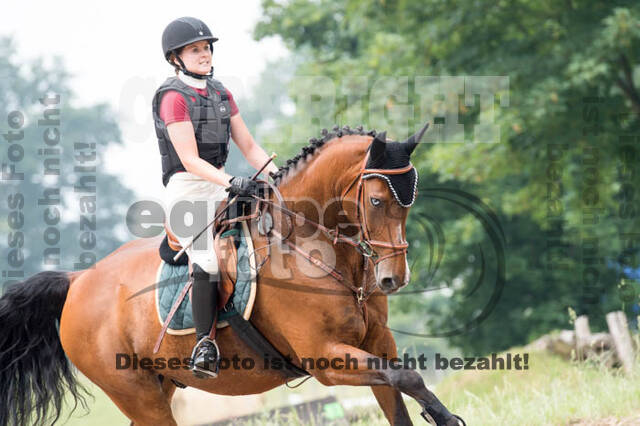 RFV Bad Honnef
