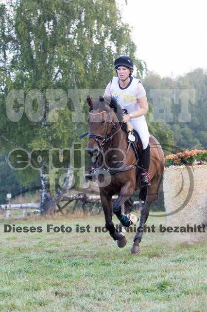 Vielseitigkeitsturnier RSV St. Hubertus Wesel Obrighoven