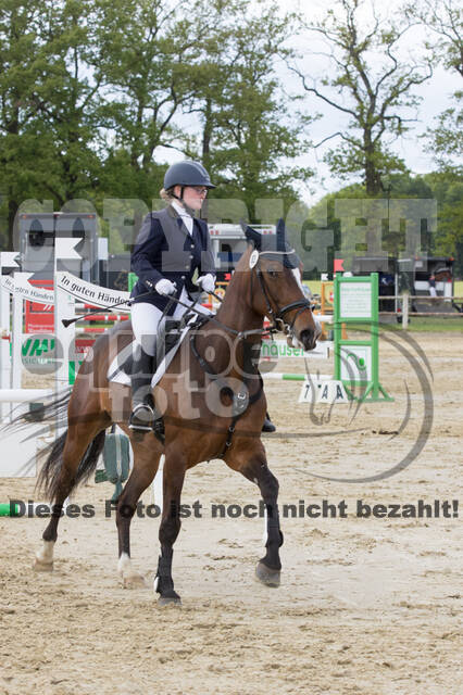 Sterne über Münster 2019 - CCI***S