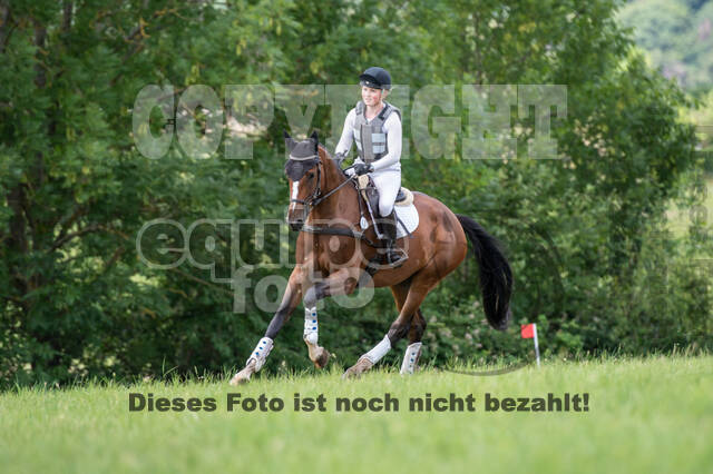 Bonn-Rodderberg Late-Entry-Vielseitigkeit (30.06.2020)