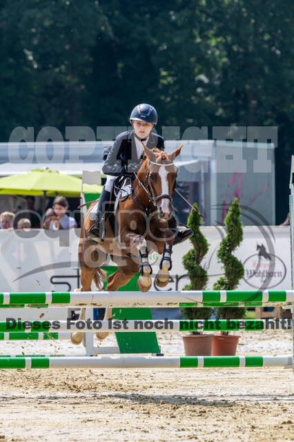 Goldene Schärpe 2021 - Ponys