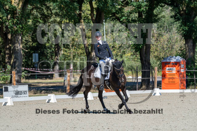 Kronenberg - De Peelbergen (August 2020)