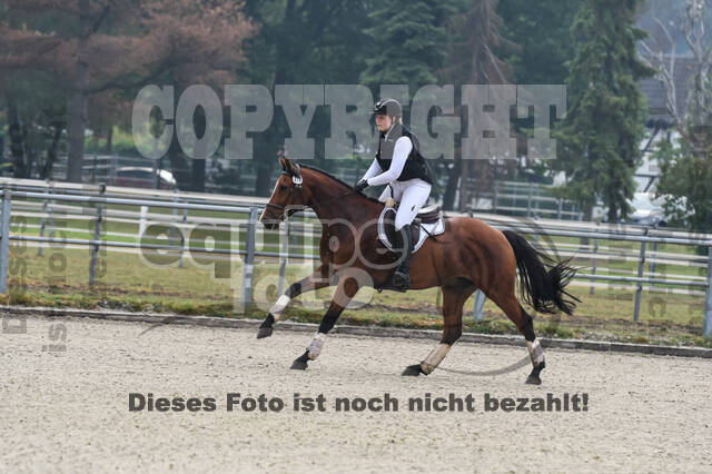 Late-Entry-Vielseitigkeit Langenfeld (11.+13./14.06.2020)