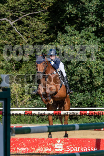 RFV Dinslaken-Hiesfeld (Herbstturnier)