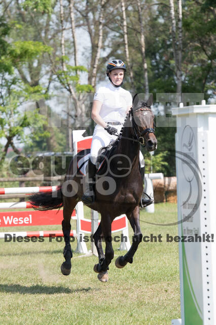 Vielseitigkeitsturnier ZRuFV von Lützow Hamminkeln