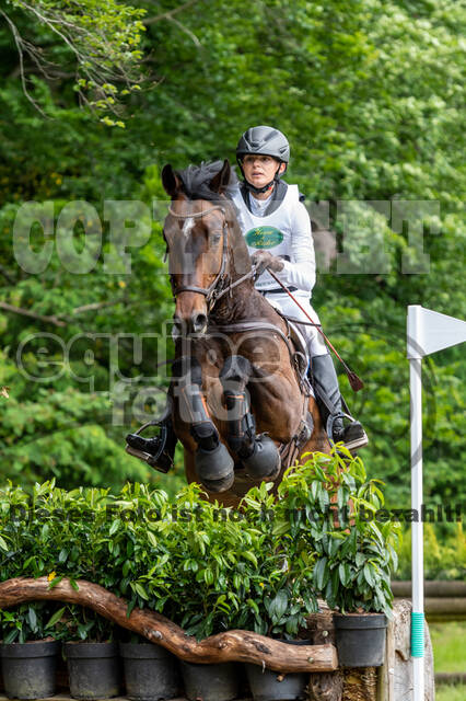 Westerstede Horse Trials 2021