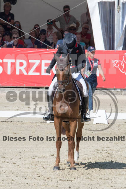 FEI European Championship Eventing 2017