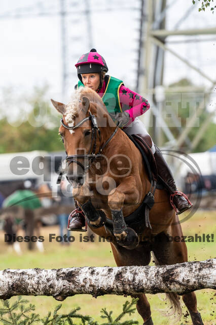 Vielseitigkeit RSV Wesel Obrighoven (26.+27.09.2020)