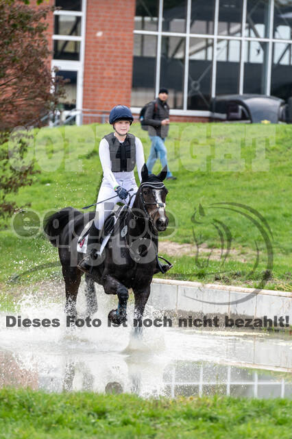 Goldene Schärpe 2020 - Pferde