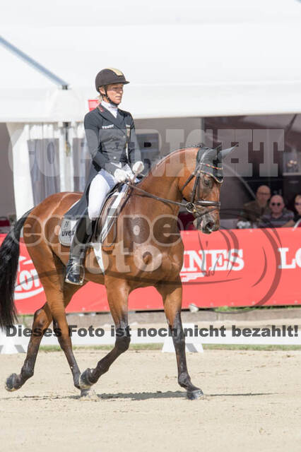 FEI European Championship Eventing 2017
