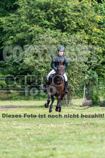 Goldene Schärpe 2021 - Ponys