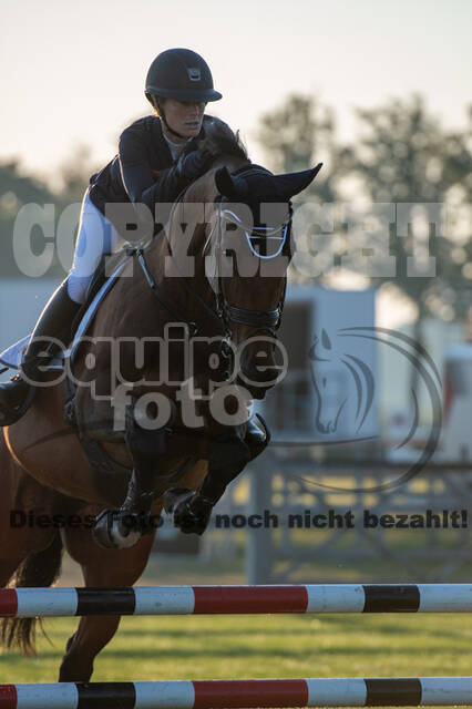 De Peelbergen (August 2020)