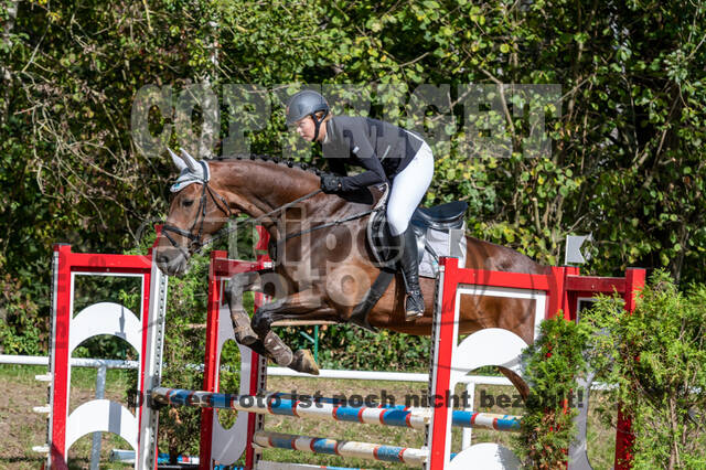 RFV Dinslaken-Hiesfeld (Herbstturnier)