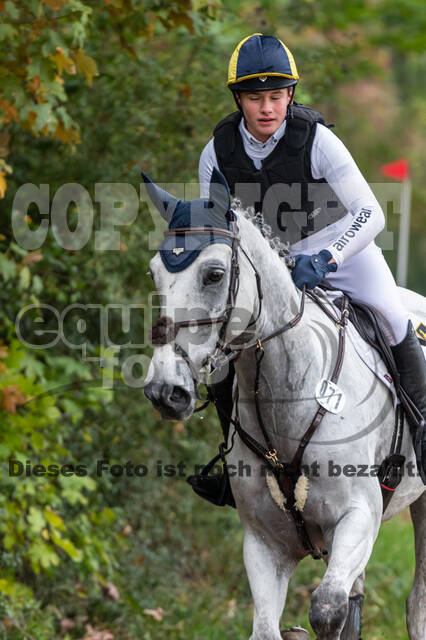 Goldene Schärpe 2020 - Pferde