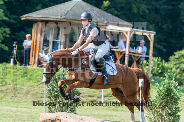 Goldene Schärpe 2021 - Ponys