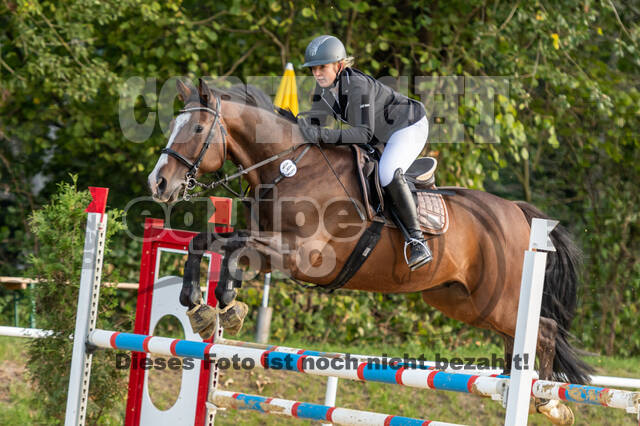 RFV Dinslaken-Hiesfeld (Herbstturnier)