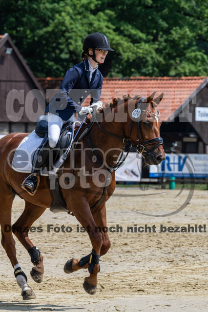 Goldene Schärpe 2021 - Ponys