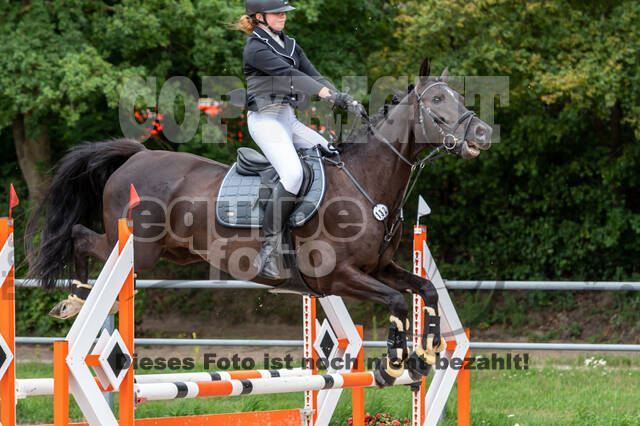 Late-Entry-Vielseitigkeit Langenfeld (06.+07.07.2020)