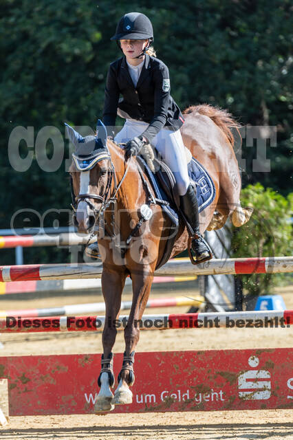 RFV Dinslaken-Hiesfeld (Herbstturnier)