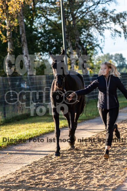 Deutsche Meisterschaft Vielseitigkeit (Luhmühlen)