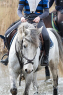 Geländetraining RSV St. Hubertus Wesel Obrighoven (10.+11.03.2018)