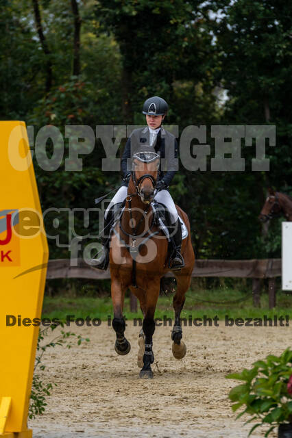 Vielseitigkeit RSV Wesel Obrighoven (26.+27.09.2020)