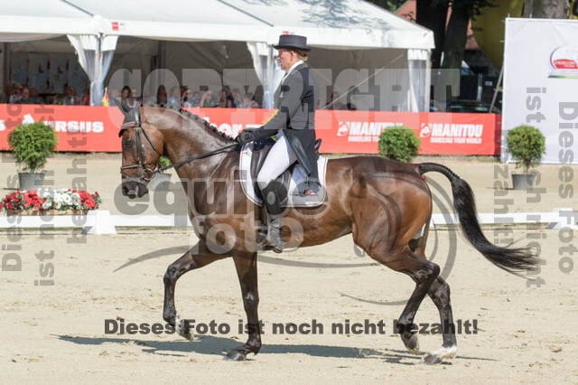 FEI European Championship Eventing 2017