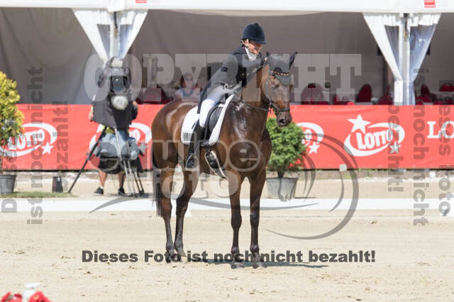 FEI European Championship Eventing 2017